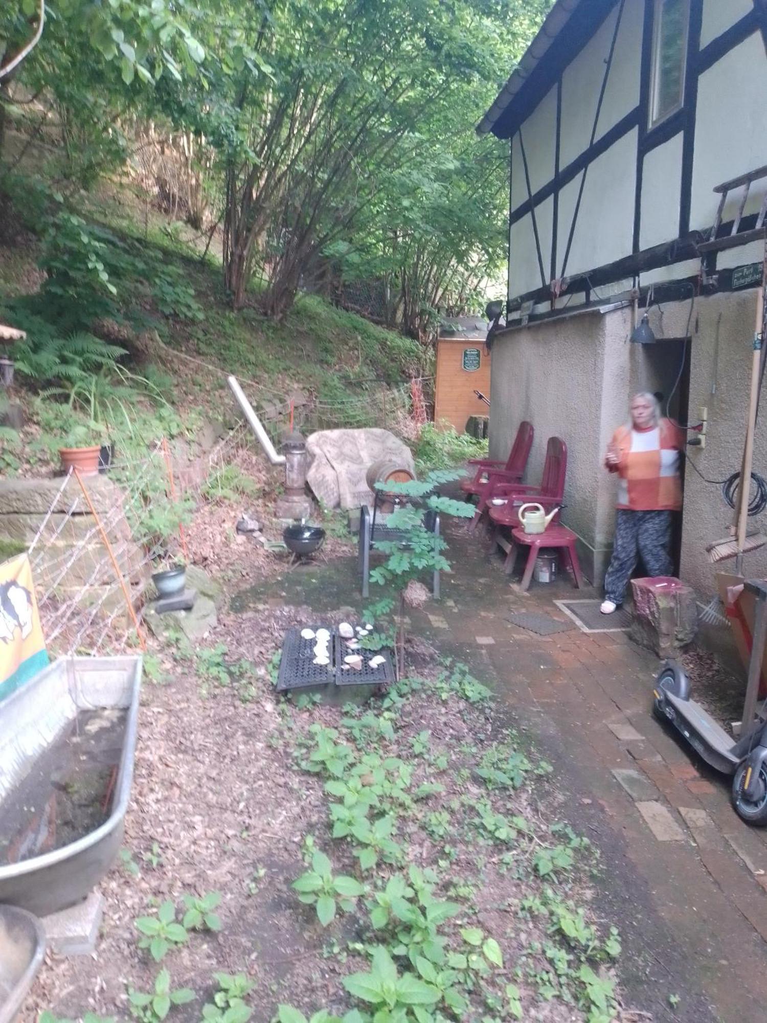 Zum Stillen Himmelbett In Lichtenwalde Niederwiesa Exterior photo